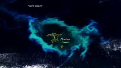 Un inel uriaș de plancton care înconjoară mai multe insule din Oceanul Pacific, observat din satelit