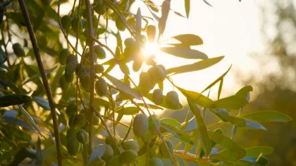 Care este cel mai însorit loc de pe Pământ?