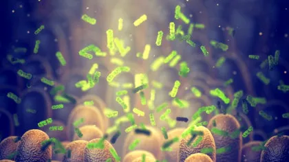 Bacteriile din intestin ne-ar putea influența creierul în timpul somnului, indică un studiu