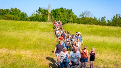 Avondvierdaagse: tradiția olandeză care aduce împreună comunități întregi prin mers pe jos