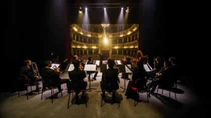 Un studiu arată ce se întâmplă în creier în timpul unui concert live