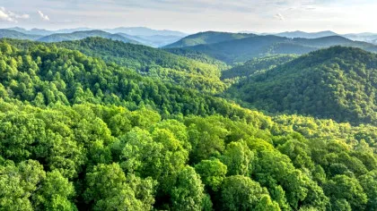 Vacanța perfectă de toamnă: iată cele mai bune trasee de mers pe munte!