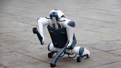 Câini robot patrulează spațiile publice alături de poliție în capitala Venezuelei