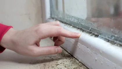Cum poți reduce formarea condensului pe geamuri toamna?