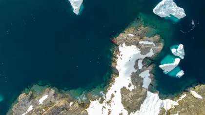 S-a aflat ce anume produce o strălucire misterioasă în Oceanul de Sud