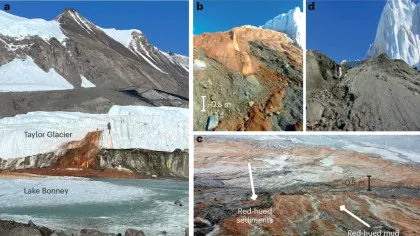 Microorganisme antice au fost descoperite în unul dintre cele mai ostile locuri din Antarctica
