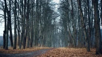 Prognoza ANM: Cum va fi vremea în noiembrie și ce temperaturi vom avea pe 1 Decembrie?