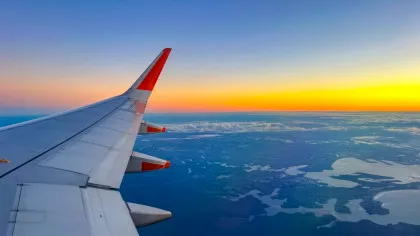 Întârziere de două ore pentru pasagerii unui avion din Australia, după ce un șarpe a fost găsit la bord