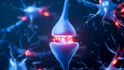 20 de lucruri uimitoare despre creierul uman