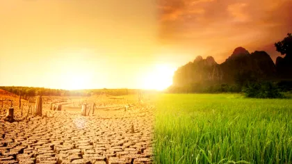 Avertisment: Criza climatică ar trebui declarată urgență globală de sănătate publică