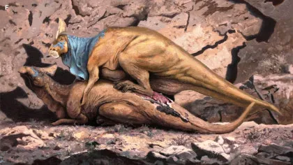 Cercetătorii au aflat cum să-și dea seama care dinozauri erau masculi și care erau femele