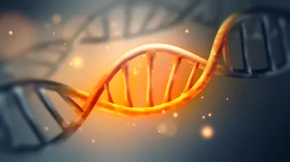 Unde ar putea fi ascunse indicii despre originea codului genetic?