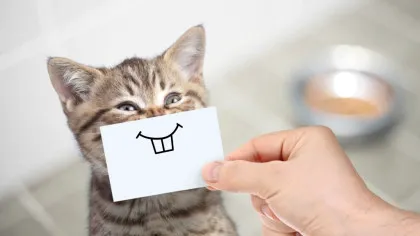 Umorul este un instrument esențial pentru o îmbătrânire sănătoasă