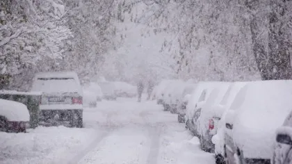 Test de cultură generală. De ce zăpada este albă?