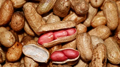 Cum pot fi prevenite alergiile la arahide?