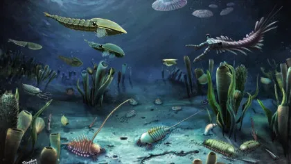 Un studiu ar fi descoperit unul dintre cele mai importante momente din evoluția vieții pe Pământ