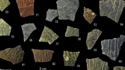 Cele mai vechi modele geometrice create de om, descoperite pe coji de ouă vechi de 60.000 de ani