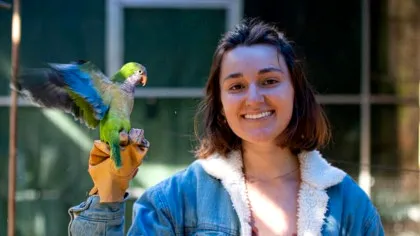 Să învățăm de la peruși: Cum își fac papagalii prieteni noi?