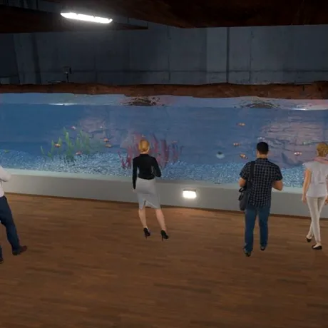 Simulatorul Aquarist va ajunge în curând pe Xbox