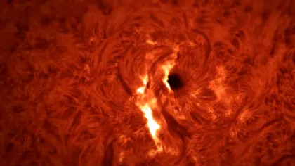 Cum sună o erupție solară? Un eveniment rar, surprins chiar în momentul declanșării!