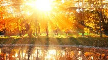 Iată cum lumina naturală poate să ajute diabeticii!