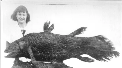 În 1938, o femeie a „înviat” o specie despre care se credea că a dispărut acum 66 de milioane de ani