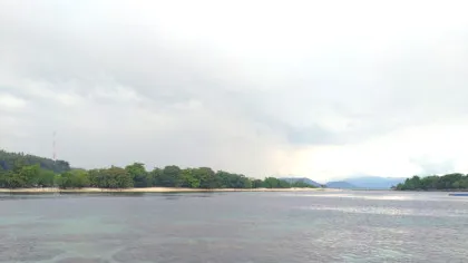 O specie de somn s-a adaptat de minune în apele poluate ale Indoneziei