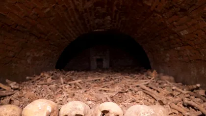 Oasele antice dezvăluie ritualuri terifiante după primele războaie ale Europei