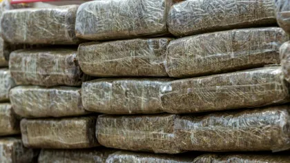 Fostul șef al unui cartel de droguri a pledat vinovat în SUA