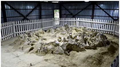 La apogeul erei glaciare, oamenii au construit adăposturi din oase de mamut