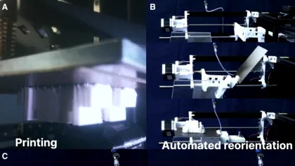 Un robot creat dintr-o singură bucată a ieșit „pe picioare” din imprimanta 3D