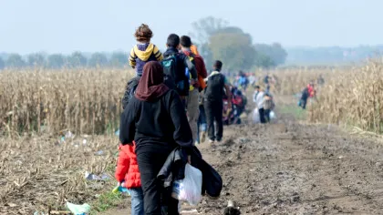 Cinci țări din Europa vor să creeze centre de returnare a migranților în Africa