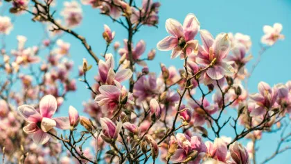 Meteorologii au actualizat prognoza! Cum va fi vremea în aprilie?