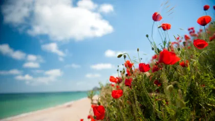 Vremea o ia razna, anunță meteorologii! Unde va ninge de 1 Mai?