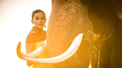 BANCUL ZILEI. Un copil la restaurant: - Carnea de elefant se mănâncă?