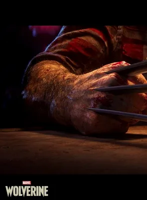 În ciuda lipsei de actualizări, dezvoltarea lui Marvel’s Wolverine continuă. Ce se întâmplă cu Marvel’s Venom?