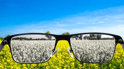 Crezi că vezi realitatea așa cum e? Știința spune că mintea o reconstruiește permanent