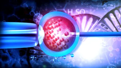 Un experiment medical de succes oferă speranță pentru cazurile dificile de fertilitate