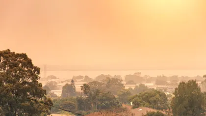 Cum se simt valurile de căldură din Australia? „Este ca un agresor”