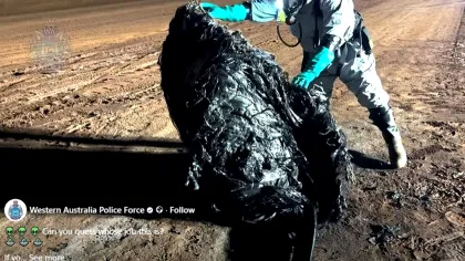 Un obiect misterios de origine necunoscută a fost găsit „fumegând” în deșertul australian. Ce se știe până acum?