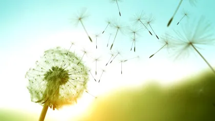 Logoterapia – 15 principii care te pot ajuta să găsești sens în situații limită din viață