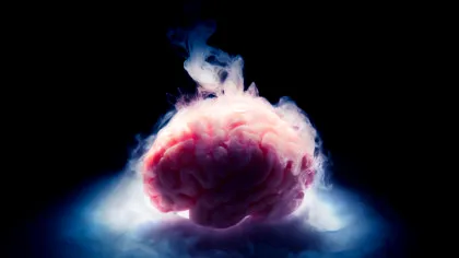 Creierul criogenat al unui cercetător, „uimitor de bine conservat” după 10 ani