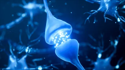 Au fost creați primii neuroni artificiali care ar putea comunica direct cu celulele vii