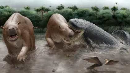 Acești crocodilienii uriași dominau lanțul trofic în America de Sud din Miocen