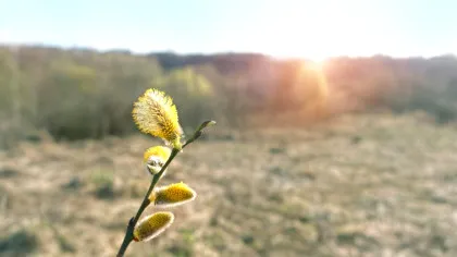 Prognoza meteo actualizată: Vremea se schimbă radical de Paște!