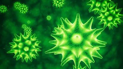 Virusurile nu au nevoie de mutații speciale pentru a infecta oamenii, arată un studiu