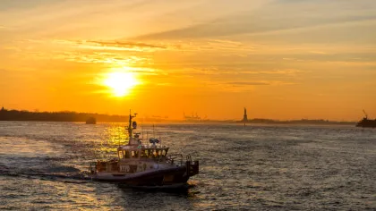Balenele cu cocoașă din largul coastei New York-ului, în pericol din cauza navelor