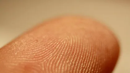 Test de cultură generală. De ce avem amprente?