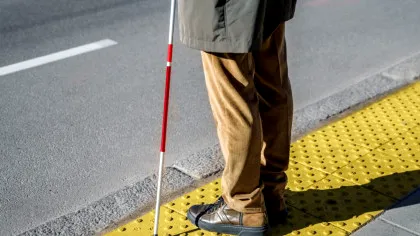 Test de cultură generală. Ce văd oamenii orbi?