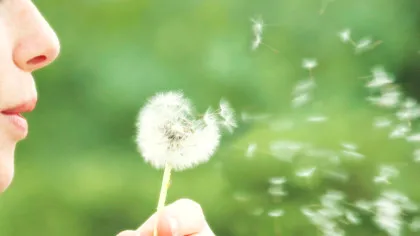 Alergiile sezoniere, „reprogramate” de organism?